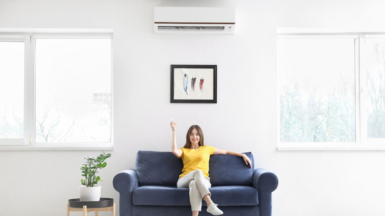 Mastering Your Comfort: The Ultimate Guide to Air Conditioner Remotes - Battery Mate