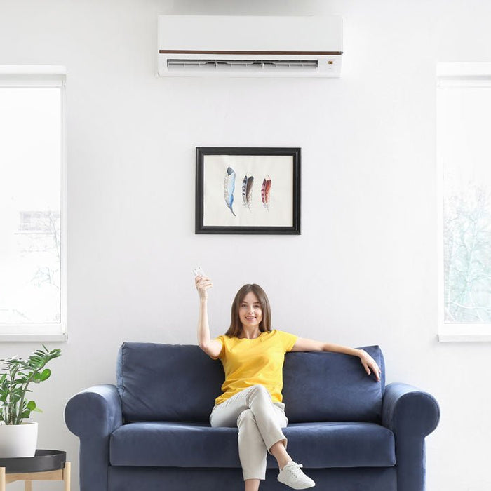 Mastering Your Comfort: The Ultimate Guide to Air Conditioner Remotes - Battery Mate
