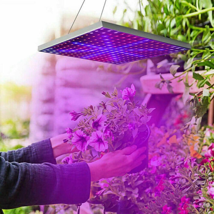 battery plant grow light 2000W 225 LED Grow Light Hydroponic Kits Growing Lamp Plant Flower Veg Indoor