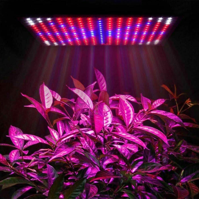 battery grow light for plants 2000W 225 LED Grow Light Hydroponic Kits Growing Lamp Plant Flower Veg Indoor