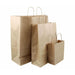 Paper Carry Bags (Brown) 24x33x8cm Medium Size [100 Pack] - Battery Mate