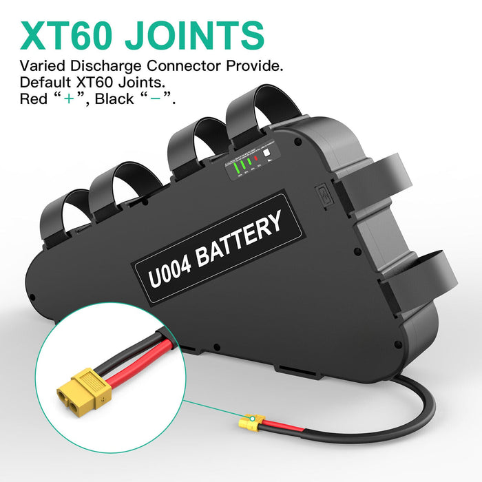 Triangle Case 48V 20Ah Lithium Ebike Battery for 200W~1800W Motor - Battery Mate